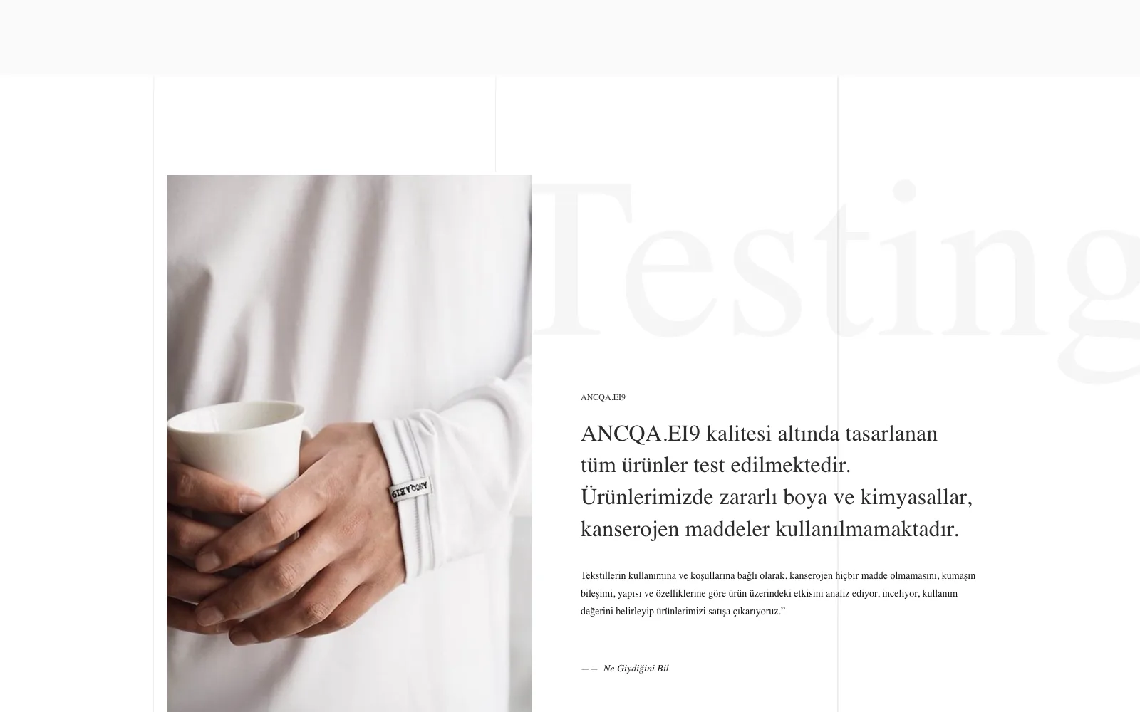 ANCQA.EI9 screen 2