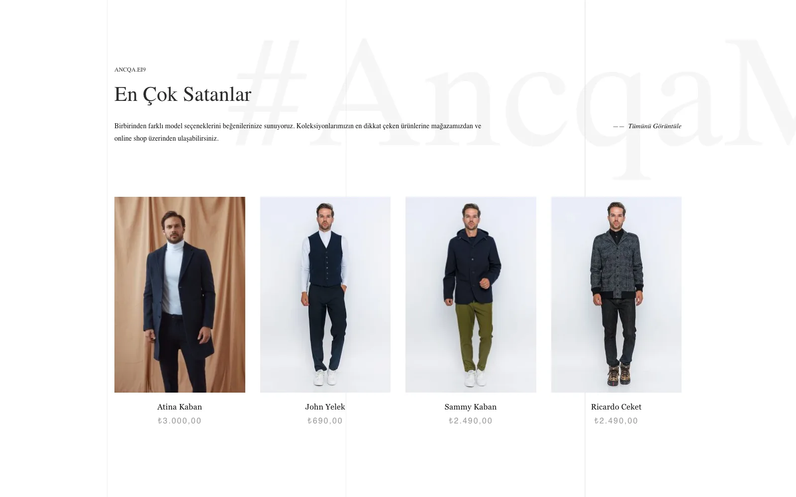 ANCQA.EI9: A WooCommerce Store for an Istanbul Menswear Label