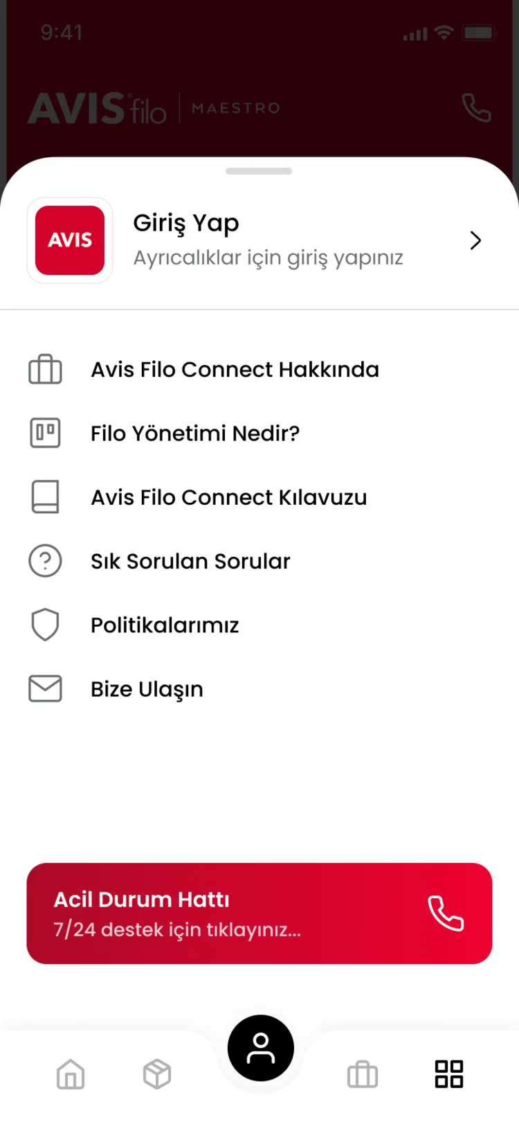 Avis Filo Maestro screen 2