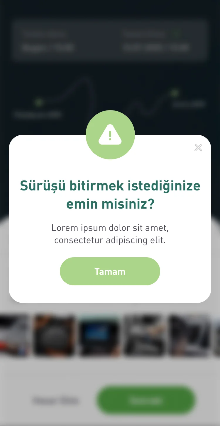 Zipcar Türkiye screen 5
