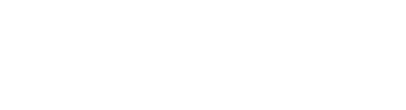 Limex Electric