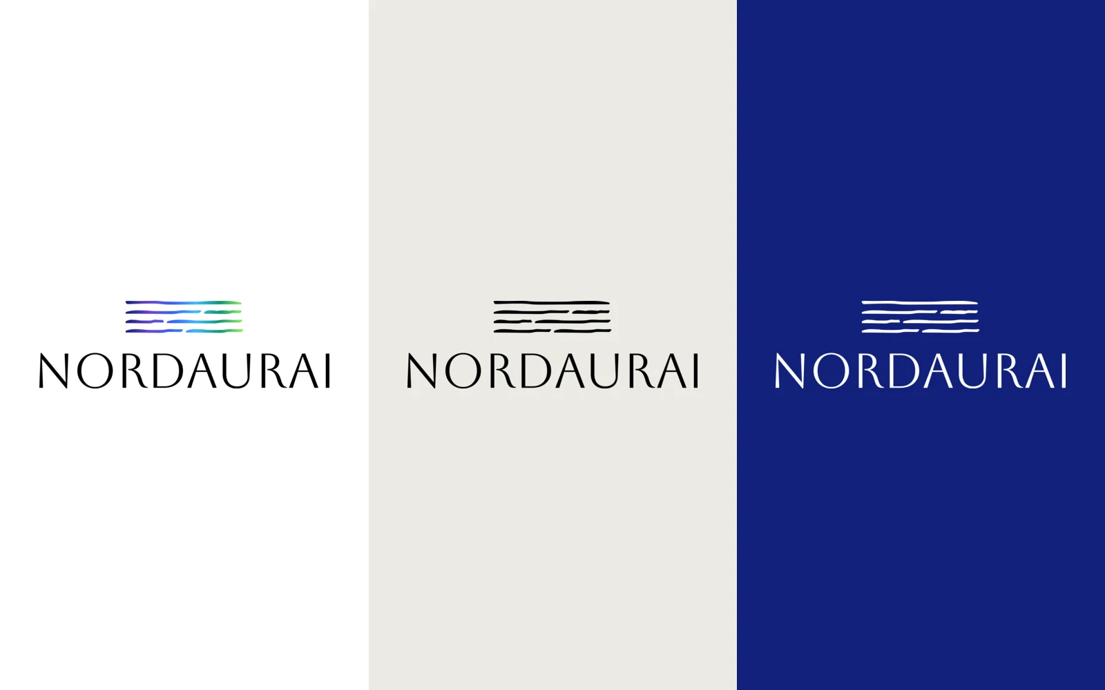Nordaurai screen 1