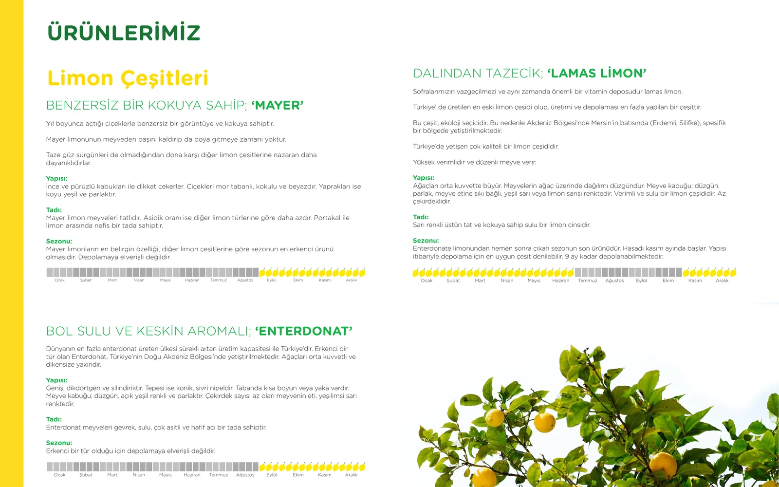 Size Tarım screen 1
